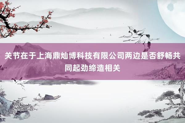 关节在于上海鼎灿博科技有限公司两边是否舒畅共同起劲缔造相关